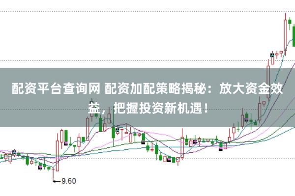 配资平台查询网 配资加配策略揭秘：放大资金效益，把握投资新机遇！
