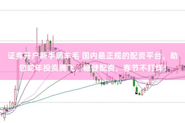 证券开户新手薅羊毛 国内最正规的配资平台，助您蛇年投资腾飞，稳健配资，春节不打烊！