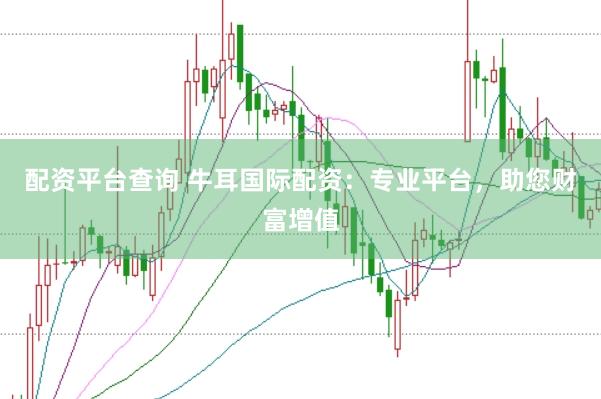 配资平台查询 牛耳国际配资：专业平台，助您财富增值