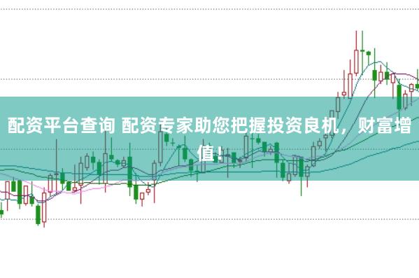 配资平台查询 配资专家助您把握投资良机，财富增值！