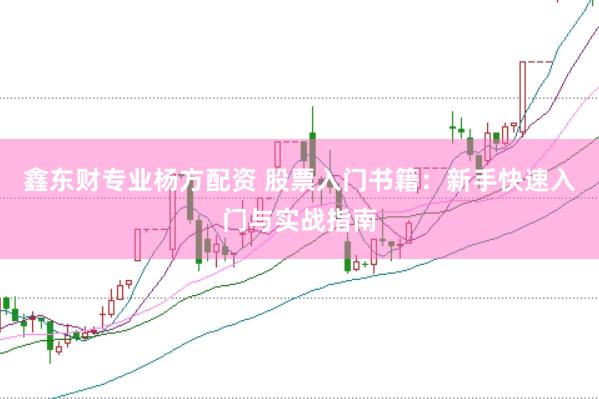鑫东财专业杨方配资 股票入门书籍：新手快速入门与实战指南