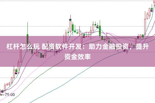 杠杆怎么玩 配资软件开发：助力金融投资，提升资金效率