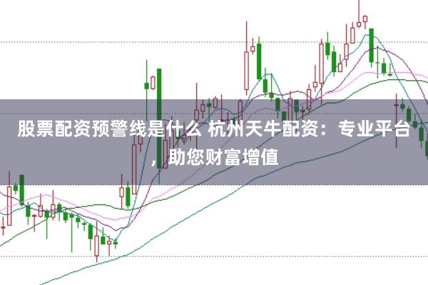 股票配资预警线是什么 杭州天牛配资：专业平台，助您财富增值