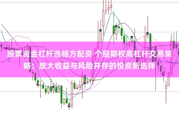 股票资金杠杆选杨方配资 个股期权高杠杆交易策略：放大收益与风险并存的投资新选择