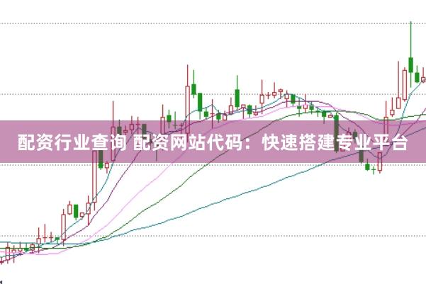 配资行业查询 配资网站代码：快速搭建专业平台