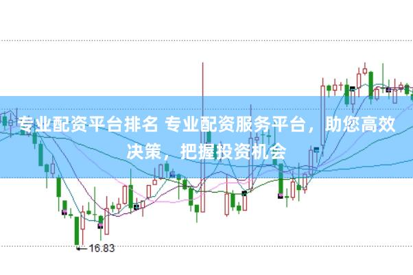 专业配资平台排名 专业配资服务平台，助您高效决策，把握投资机会
