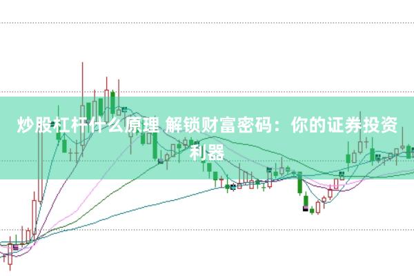 炒股杠杆什么原理 解锁财富密码：你的证券投资利器