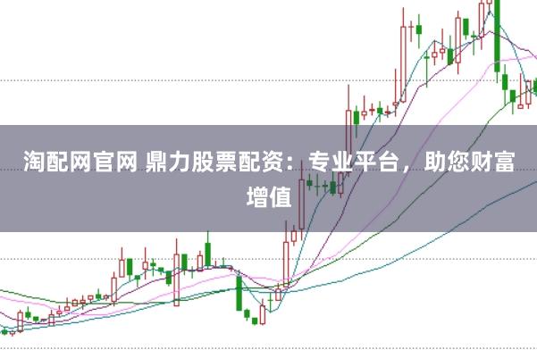 淘配网官网 鼎力股票配资：专业平台，助您财富增值