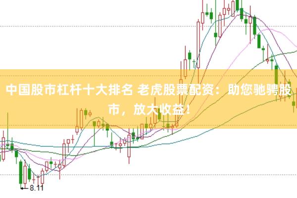 中国股市杠杆十大排名 老虎股票配资：助您驰骋股市，放大收益！