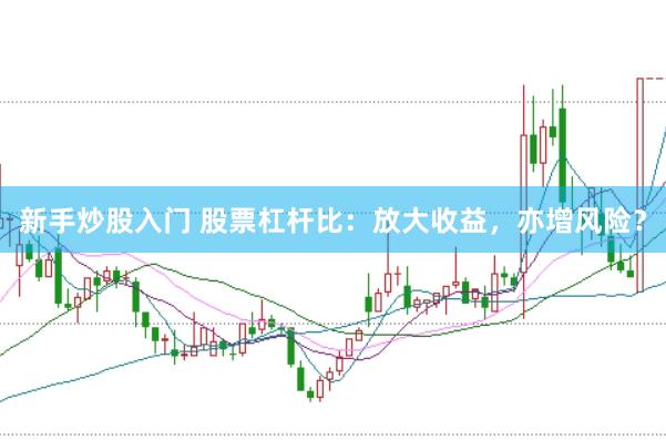 新手炒股入门 股票杠杆比：放大收益，亦增风险？