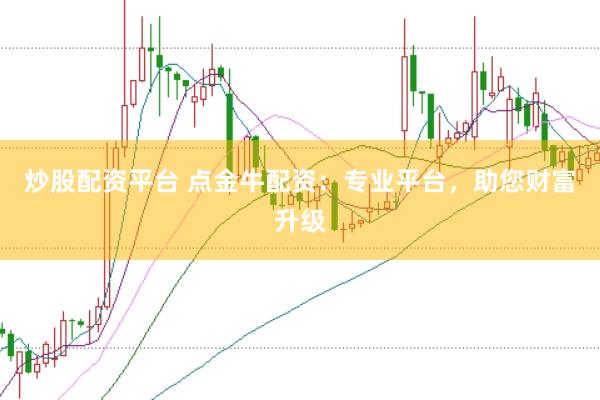 炒股配资平台 点金牛配资：专业平台，助您财富升级