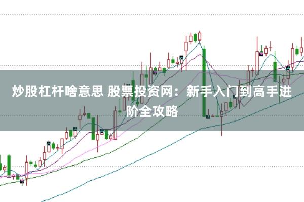 炒股杠杆啥意思 股票投资网：新手入门到高手进阶全攻略