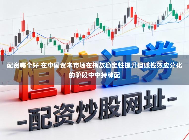 配资哪个好 在中国资本市场在指数稳定性提升但赚钱效应分化的阶段中中持牌配