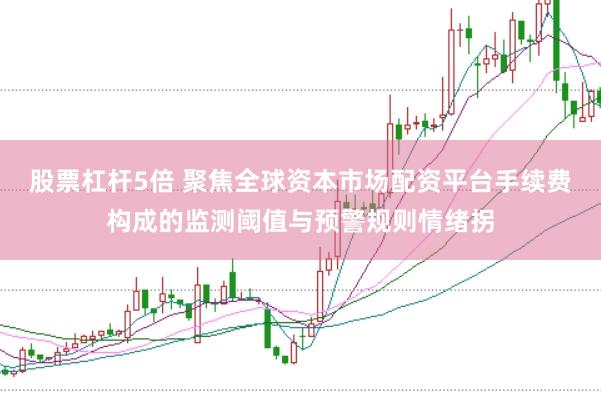 股票杠杆5倍 聚焦全球资本市场配资平台手续费构成的监测阈值与预警规则情绪拐