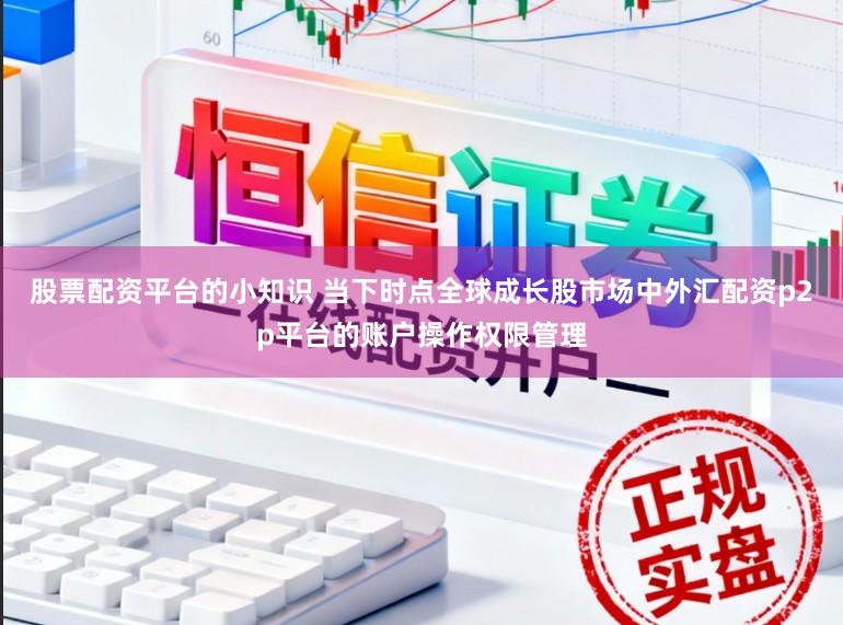 股票配资平台的小知识 当下时点全球成长股市场中外汇配资p2p平台的账户操作权限管理