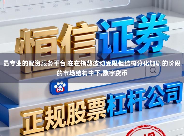 最专业的配资服务平台 在在指数波动受限但结构分化加剧的阶段的市场结构中下，数字货币